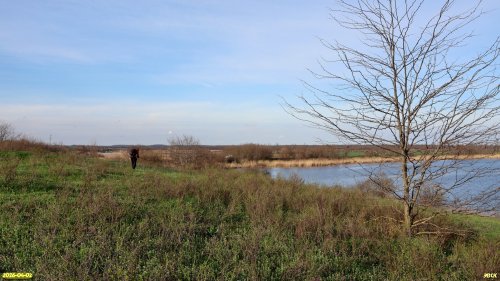Перспективная ООПТ Васильевский берег Бейсуга