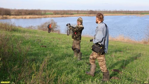 Обследование перспективной ООПТ Васильевский берег Бейсуга