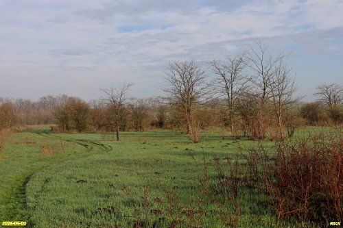 Перспективная ООПТ Новогражданский лес