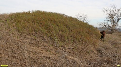 А.Рудомаха на обследовании перспективной ООПТ Курган Новогражданский 