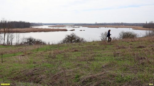 Обследование перспективной ООПТ Белоключевской берег Бейсуга