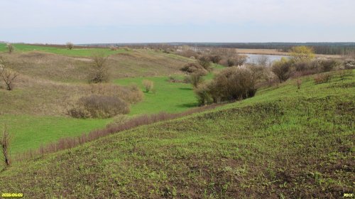 Перспективная ООПТ Белоключевской берег Бейсуга