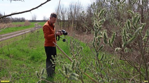 С.Симонов на обследовании перспективной ООПТ Роща на улице Светлой