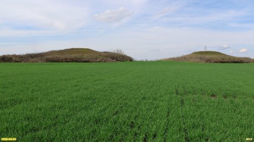 Перспективная ООПТ Курган Два брата 