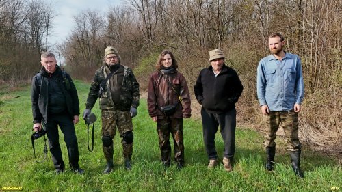 Активисты ЭВСК на обследовании озеленённых территорий в МО Выселковский район (02.04.2026)