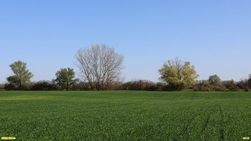 Перспективная ООПТ Чернотрусов лес