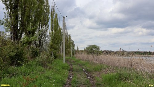 Перспективная ООПТ Копытцева роща  