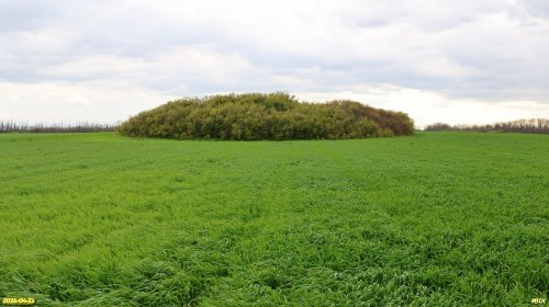 Перспективная ООПТ Курган Саратовский 
