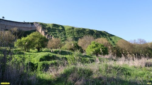 Перспективная ООПТ Южно-Воронежский высокий берег