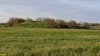 Перспективная ООПТ Западно-Воронежский курган