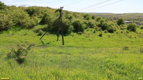 Перспективная ООПТ Колонская лесостепь