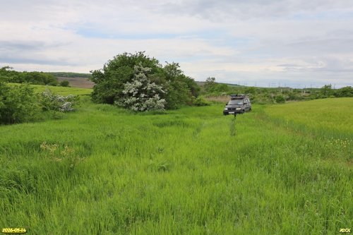 Перспективная ООПТ Первая Коваленкова балка