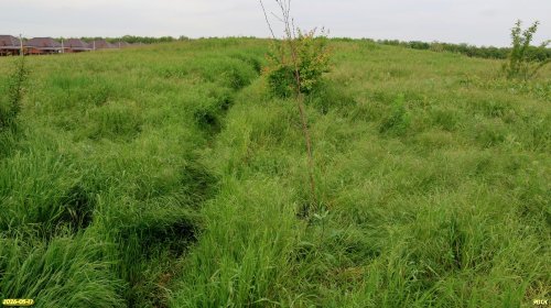 Перспективная ООПТ Западно-Красносельский курган