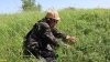 Координатор ЭВСК А.Рудомаха на обследовании перспективной ООПТ Бондаревский берег Еи