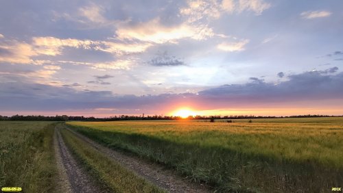 Закат в районе перспективной ООПТ Балка Бутковича