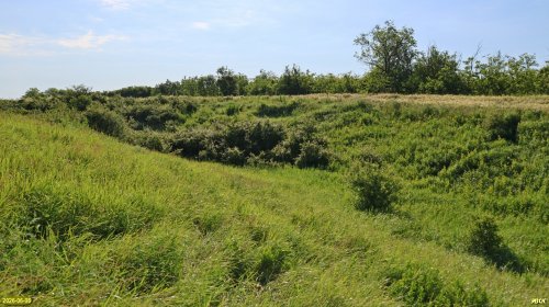Перспективная ООПТ Ковалёвское городище