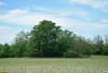 Перспективная ООПТ Западно-Новоекатериновский курган