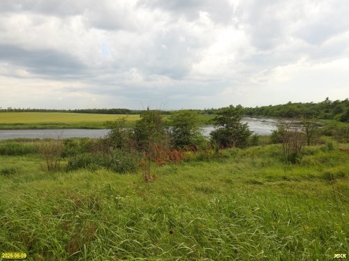 Перспективная ООПТ Урочище Нижний Терс