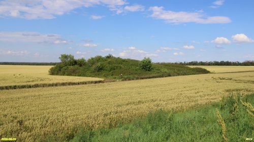 Перспективная ООПТ Восточно-Александровские курганы