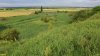 Перспективная ООПТ Староармянская лесостепь