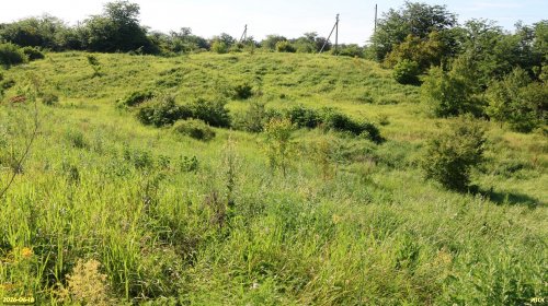 Перспективная ООПТ Зиссермановская лесостепь