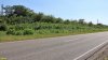 Перспективная ООПТ Марьинский лес