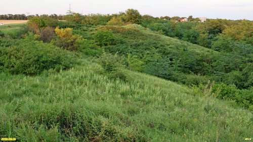 Перспективная ООПТ Зубовская лесостепь