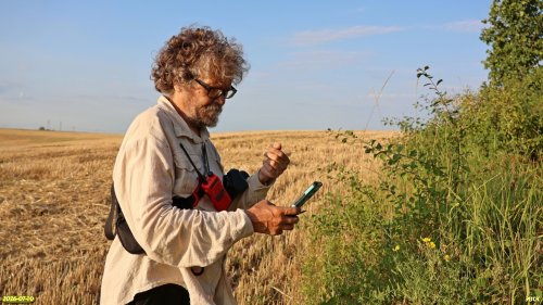 Координатор ЭВСК А.Рудомаха определяет виды растений в перспективной ООПТ Курган Медведовский Ерик