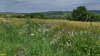Перспективная ООПТ Западно-Подгорная степь