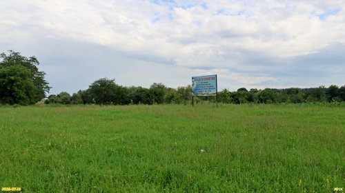 Перспективная ООПТ Чайкин сад памяти
