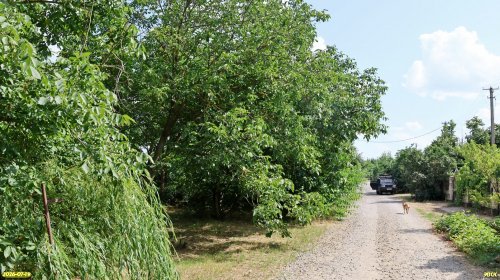 Перспективная ООПТ Сквер на улице Темрюкской 