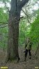 С.Симонов рядом с огромным ясенем в перспективной ООПТ Лузанкин лес