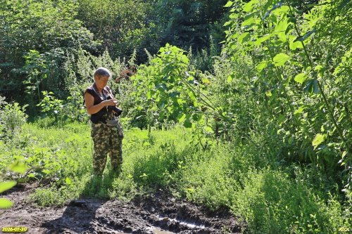Е.Чеботарёва на обследовании Восточно-Благодарненского леса