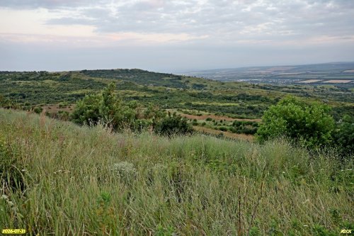 Светленская лесостепь
