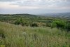 Светленская лесостепь