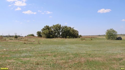Краснослободская сурчина