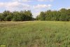 Поповский лес