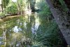 Река Кургу в Кургуевом лесу