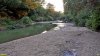 Бжедуховский лес выходит к реке Пшиш