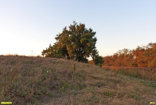 Курган Лысовицкий Большой
