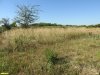 Незаймановская степь
