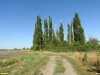 Северо-Красноармейский Кут