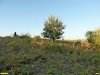 Обследование Греблянского высокого берега