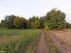 Греблянская роща