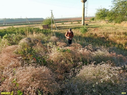 С.Симонов на обследовании Рыкова кургана