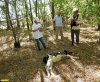 Участники выезда обнаружили мёртвого телёнка рядом с Курганом Новоленинский и вызвали сотрудников Департамента по ветеринарии КК
