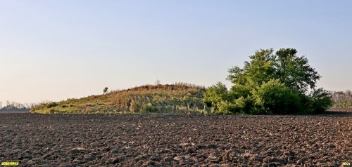 Курган Вербицкий