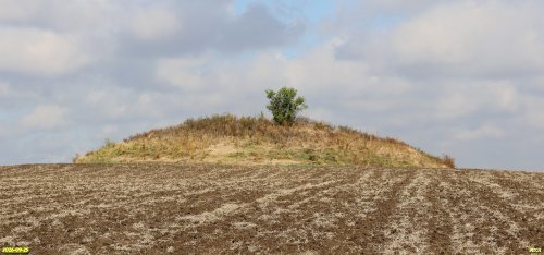 Курган Каменский