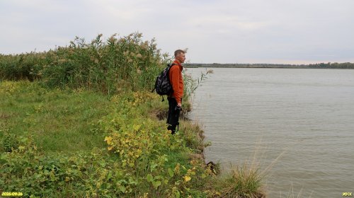 Западно-Батуринская роща выходит к правому берегу реки Бейсуг