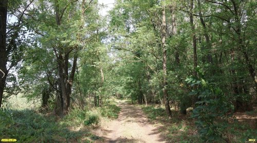 Урочище Пискуновское